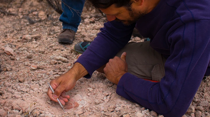 Arqueologos realizando el hallazgo de cascaras de huevos