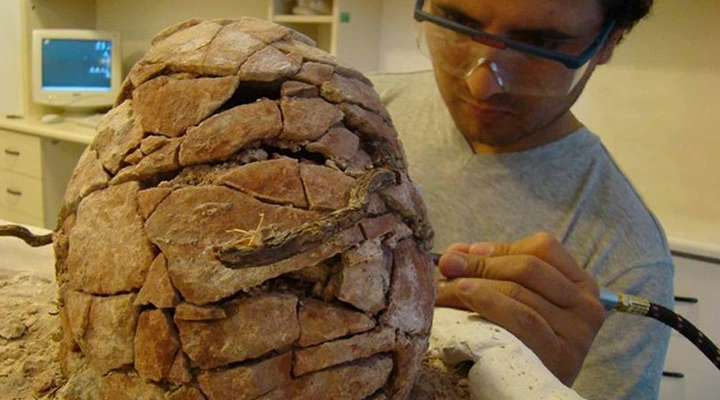 Imagen de archivo del Valle Rojo, año 2010