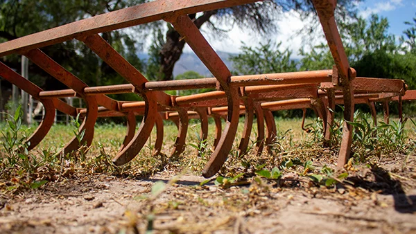 Mapas, iconografia, direcciones y otros elementos útiles para el visitante.