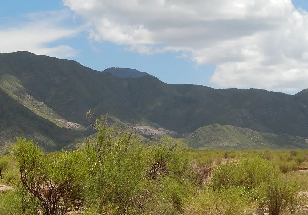 Planicies de Pampa de la Viuda