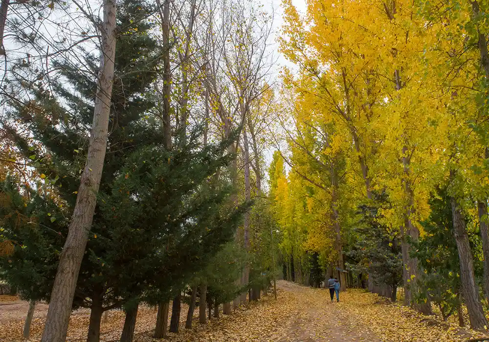 Otoño desde las alturas